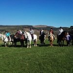 horseriding260x195